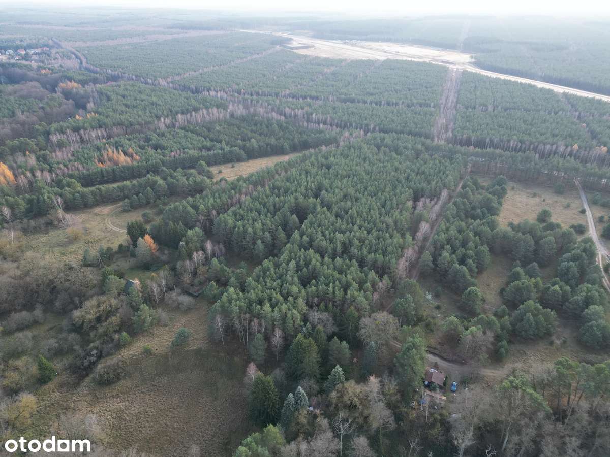 Działka na sprzedaż – Małe Jarki, koło Cierpic, niedaleko Torunia-5