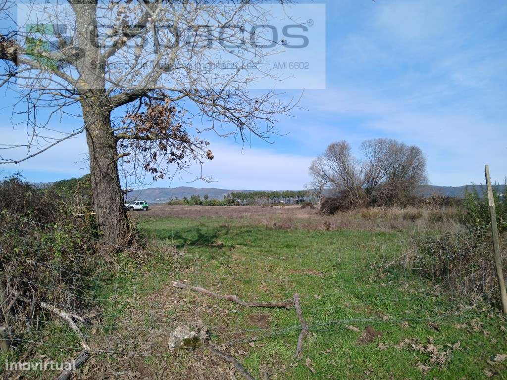 Moradia V3 em aldeia sossegada . - Grande imagem: 5/28