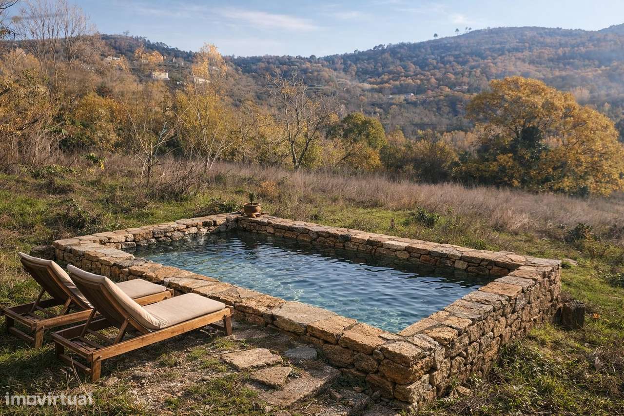 Quinta T3 Venda em Anreade e São Romão de Aregos,Resende - Grande imagem: 5/19