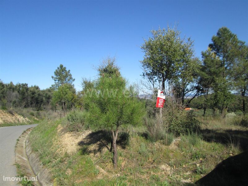 Terreno / Fundão, Telhado