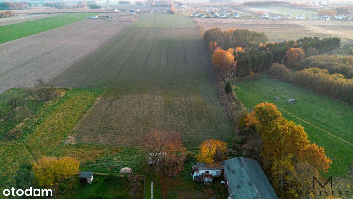 Inwestycyjny grunt 8008 m² - Charzyno / Kołobrzeg - Pełny obrazek: 4/6