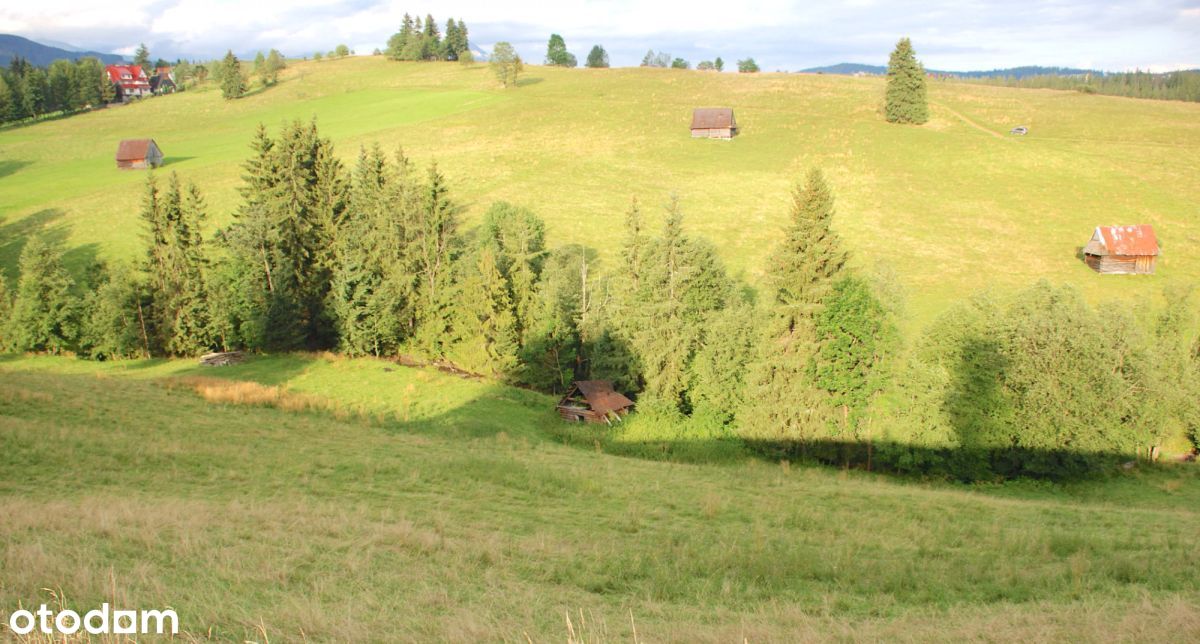 Zakopane | działka | strumień | góry | budynek