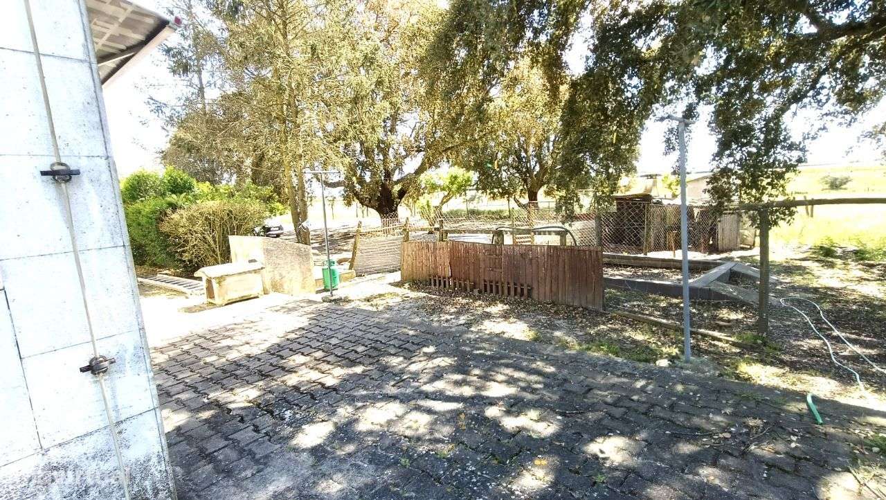 Quinta Pegões Velhos, junto á adega, com moradia e armazém lote 3,8 ha-39