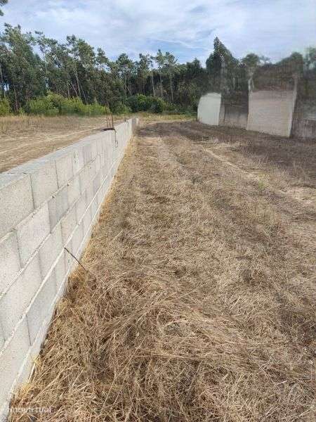 Terreno em Quiaios - negociável - Grande imagem: 5/9