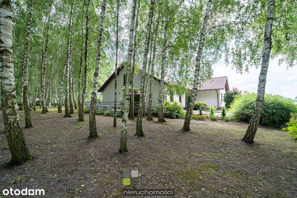 Dom, 187,37 m², Deszczno - Pełny obrazek: 4/20