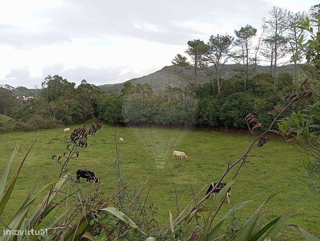 Terreno  para venda-5