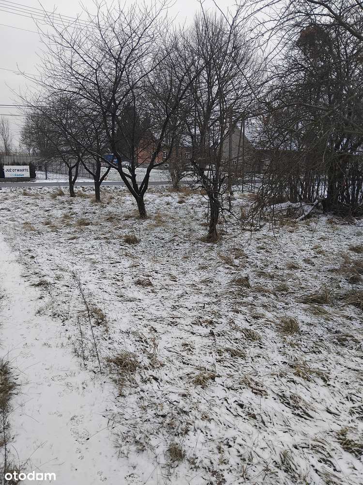 Dom na sprzedaż, 20 arów, Nowa Wieś Szlachecka – potencjał - Pełny obrazek: 3/20