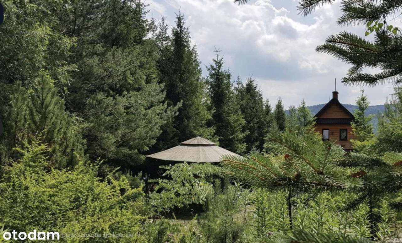 Atrakcyjny Dom w Górach z Pięknym Widokiem ! 1.090.000 zł do 31.12.25!-13