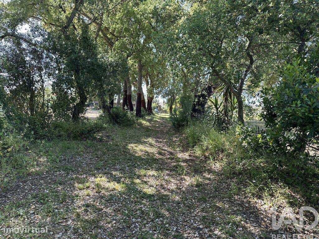 Terreno em Arneiro das Milhariças de 259,00 m2 - Grande imagem: 4/21