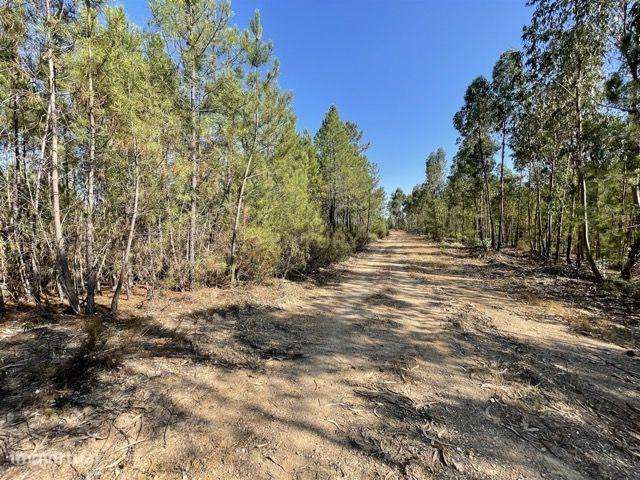 Terreno Rústico em Rodeios - Grande imagem: 4/16