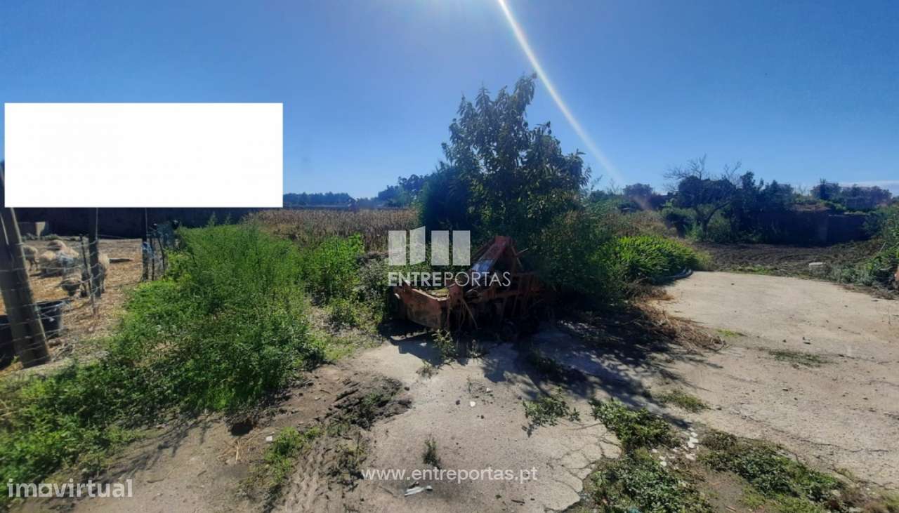 Venda de Terreno com 1200 m2, Tougues, Vila do Conde - Grande imagem: 3/11