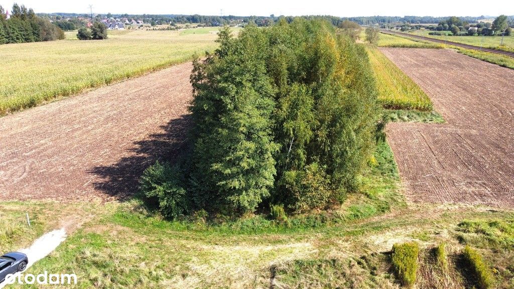 działka budowlana w gminie Bochnia - Pełny obrazek: 7/7