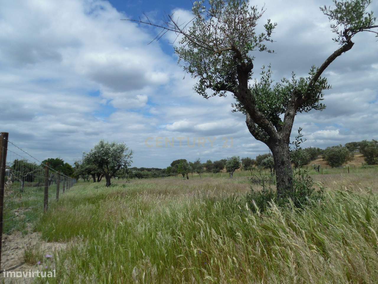 Quinta em Capelins,  Alandroal - Évora,  Oportunidade Única-36
