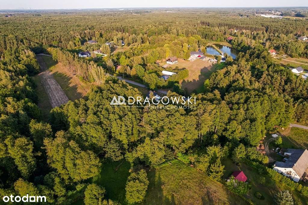 Duża działka w leśnej okolicy, Musuły, Żabia Wola-0