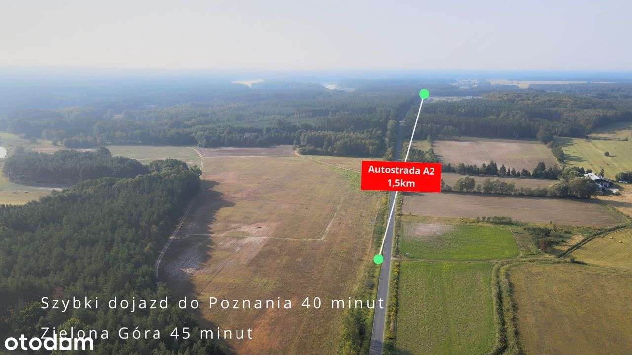 Piękne Działki Budowlane w Gminie Trzciel! - Pełny obrazek: 4/18