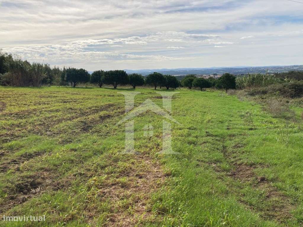 Terreno Rústico em São Bartolomeu dos Galegos, Lourinhã - Grande imagem: 3/19