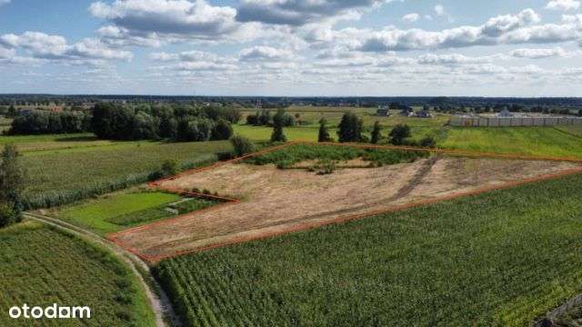 Masłowo - atrakcyjne działki budowlane - Pełny obrazek: 4/12