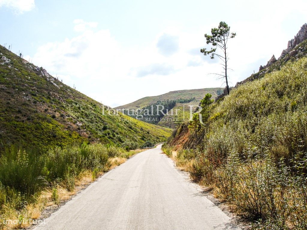 Terreno com nascente de águas naturais