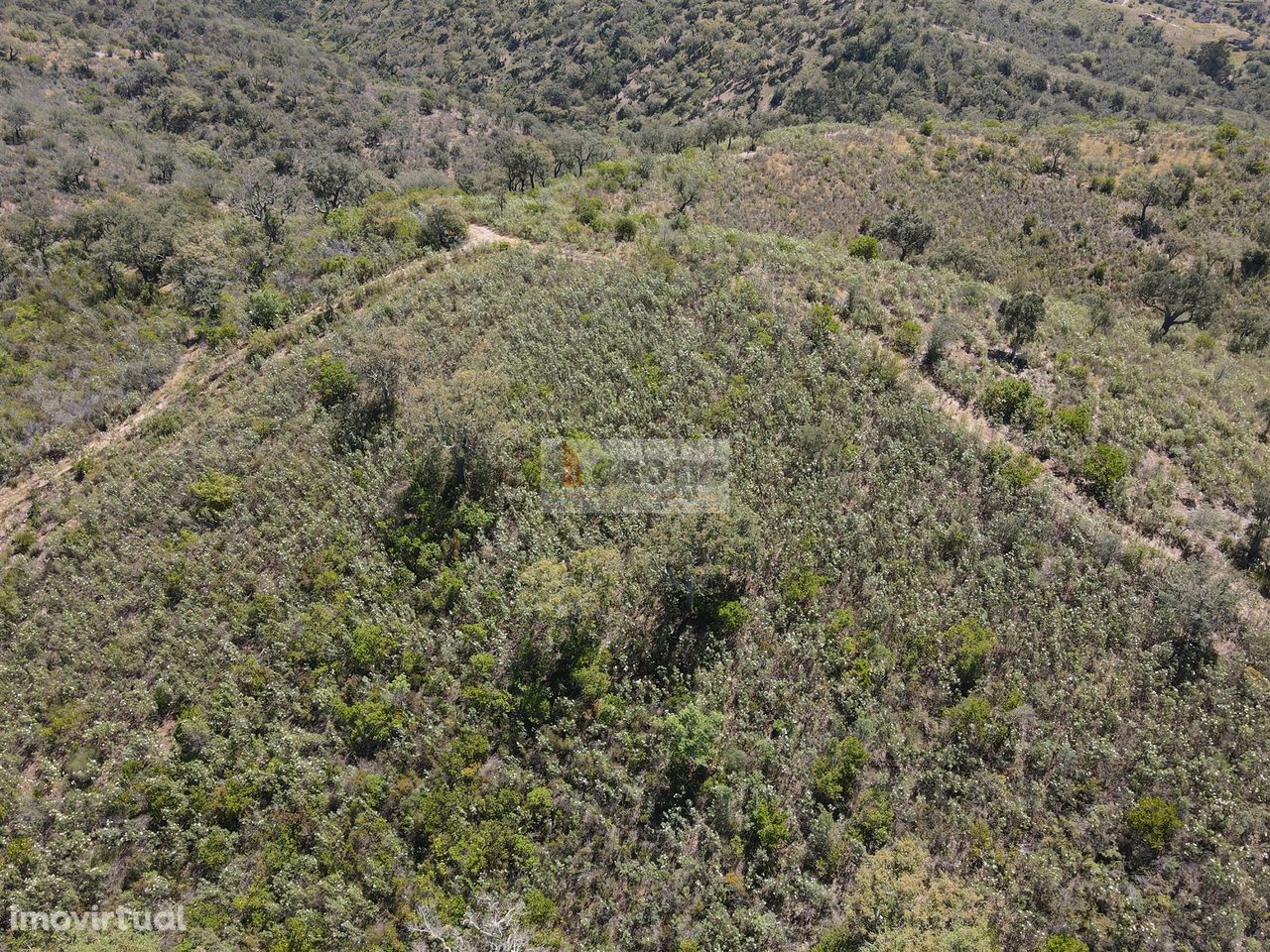 Terreno  Venda em São Barnabé,Almodôvar