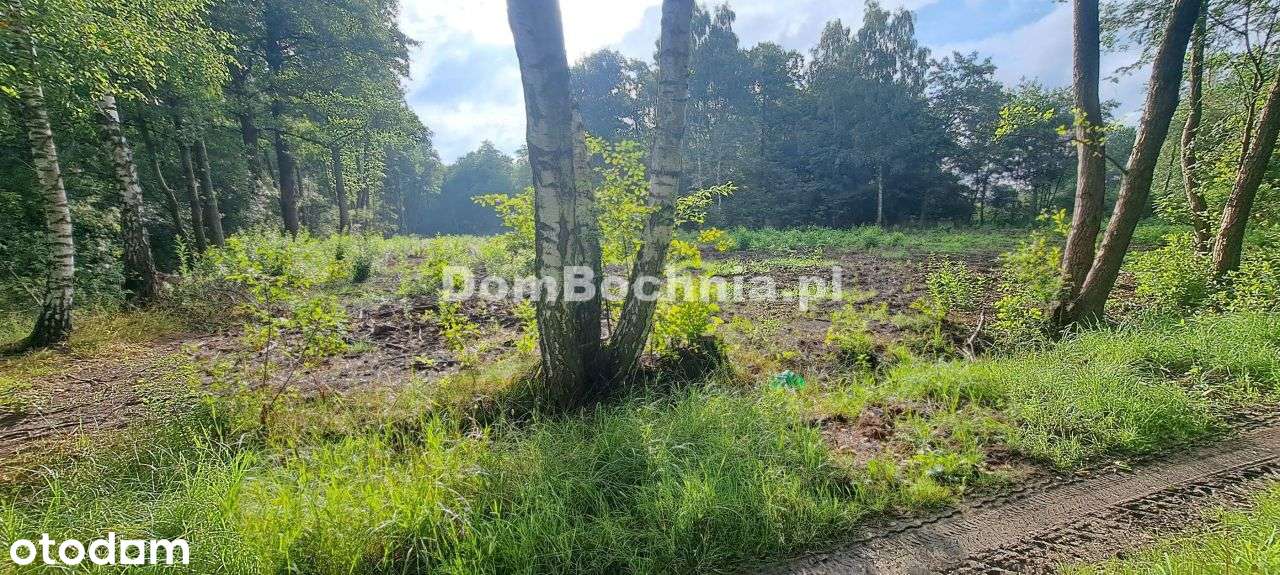 Bratucice 56ar działka budowlana Rzezawa - Pełny obrazek: 4/12