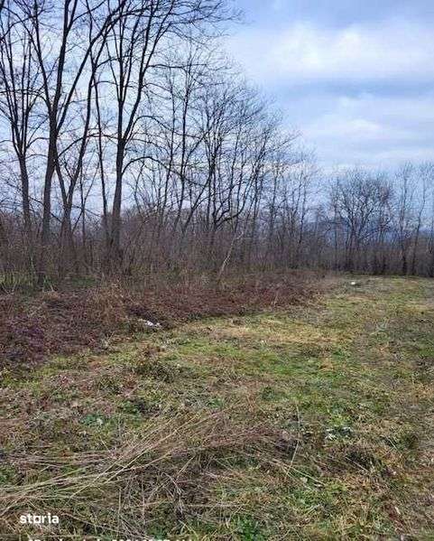 Teren intravilan 2.200 mp Unguriu/Buzau - Imagine principală: 5/7