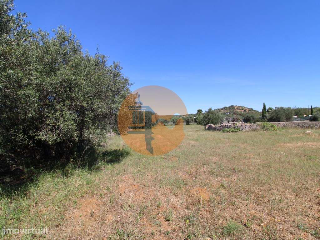 Terreno Rustico - Grande imagem: 3/17