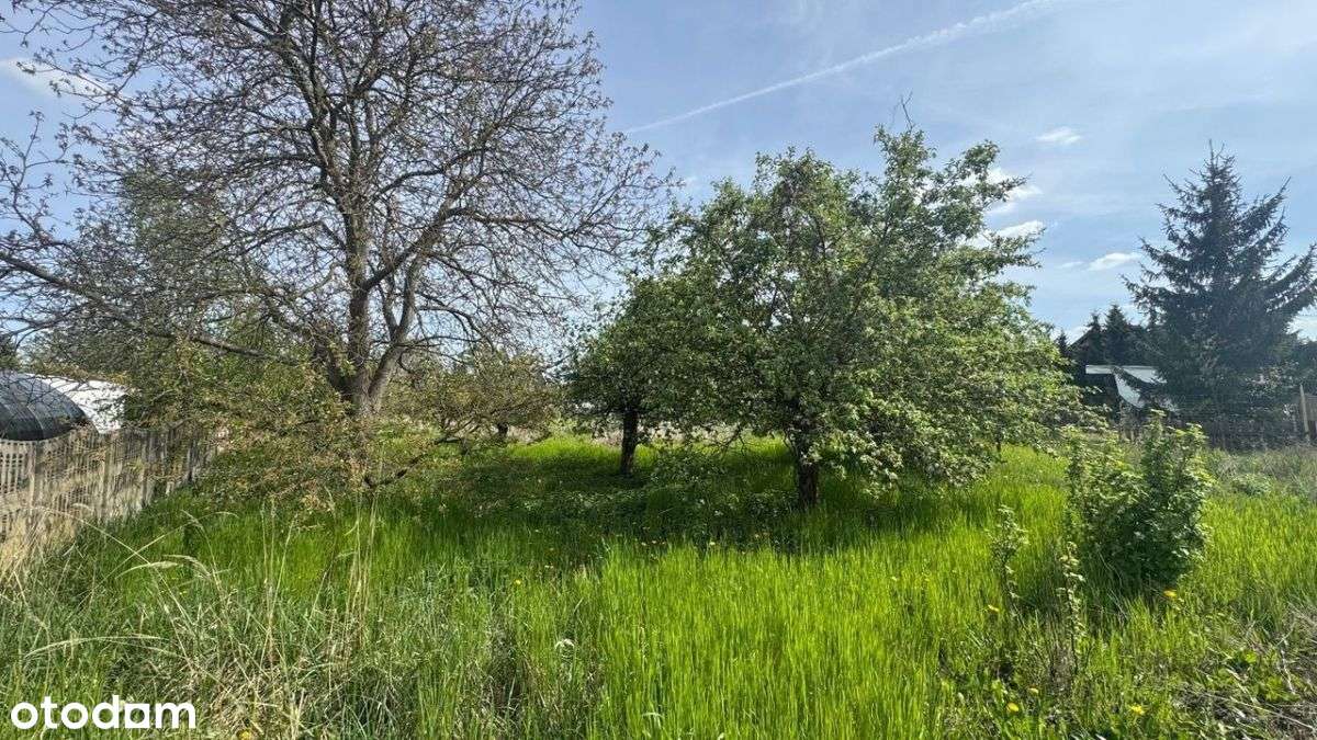 Rosnówko, ul. Podgórna 14-16-7