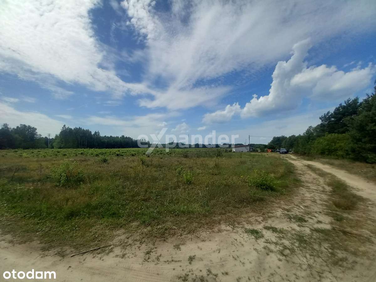 Działka DO Podziału Pod Zabudowę Blisko Jeziora - Pełny obrazek: 5/9