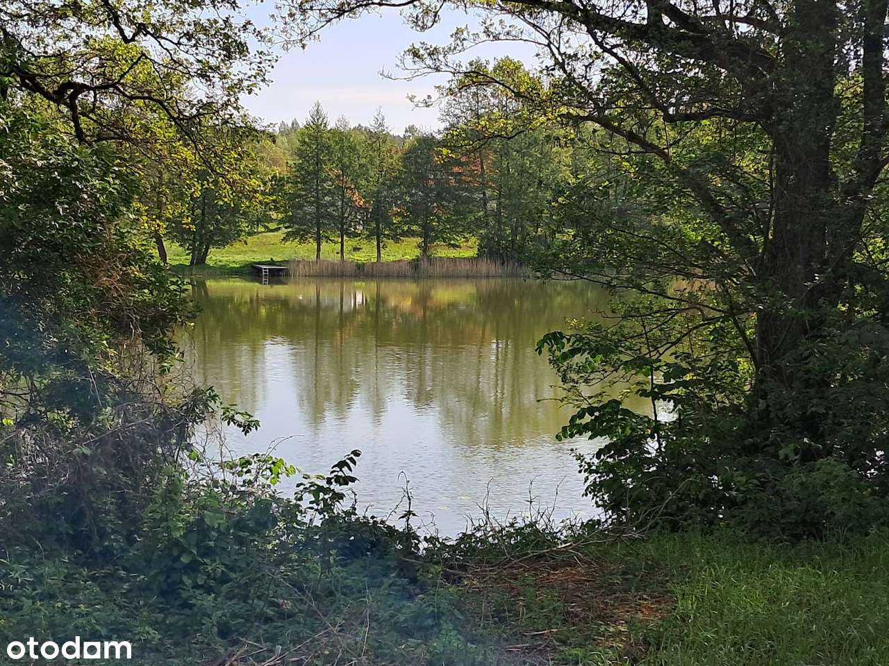 Cierzpięty, dz. 59/10, gm. Orzysz-6