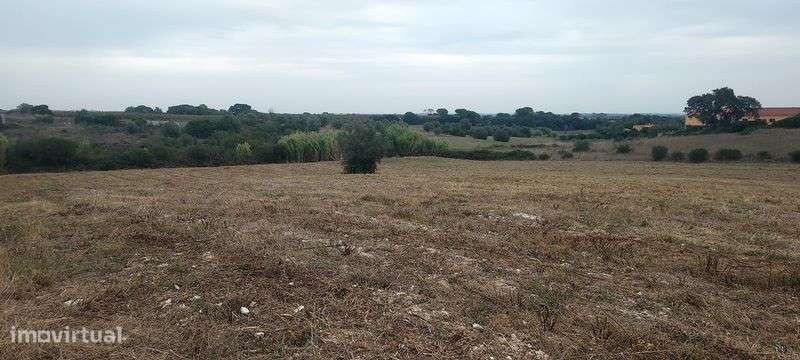 Terreno com possibilidade de construção para industria tipo C e D. - Grande imagem: 4/8