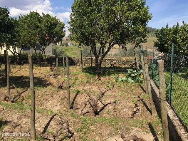 Casa com Terreno em Vilarinho de Cotas, Douro-27