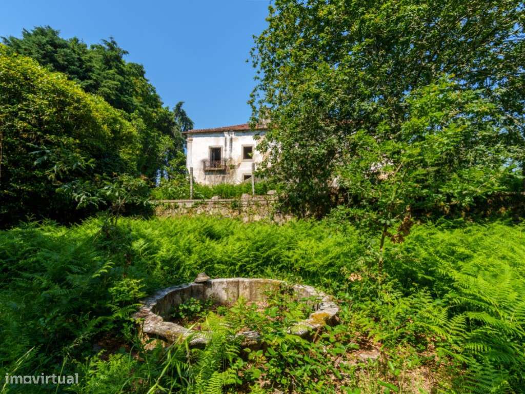 Quinta do Buraco - Grande imagem: 5/46