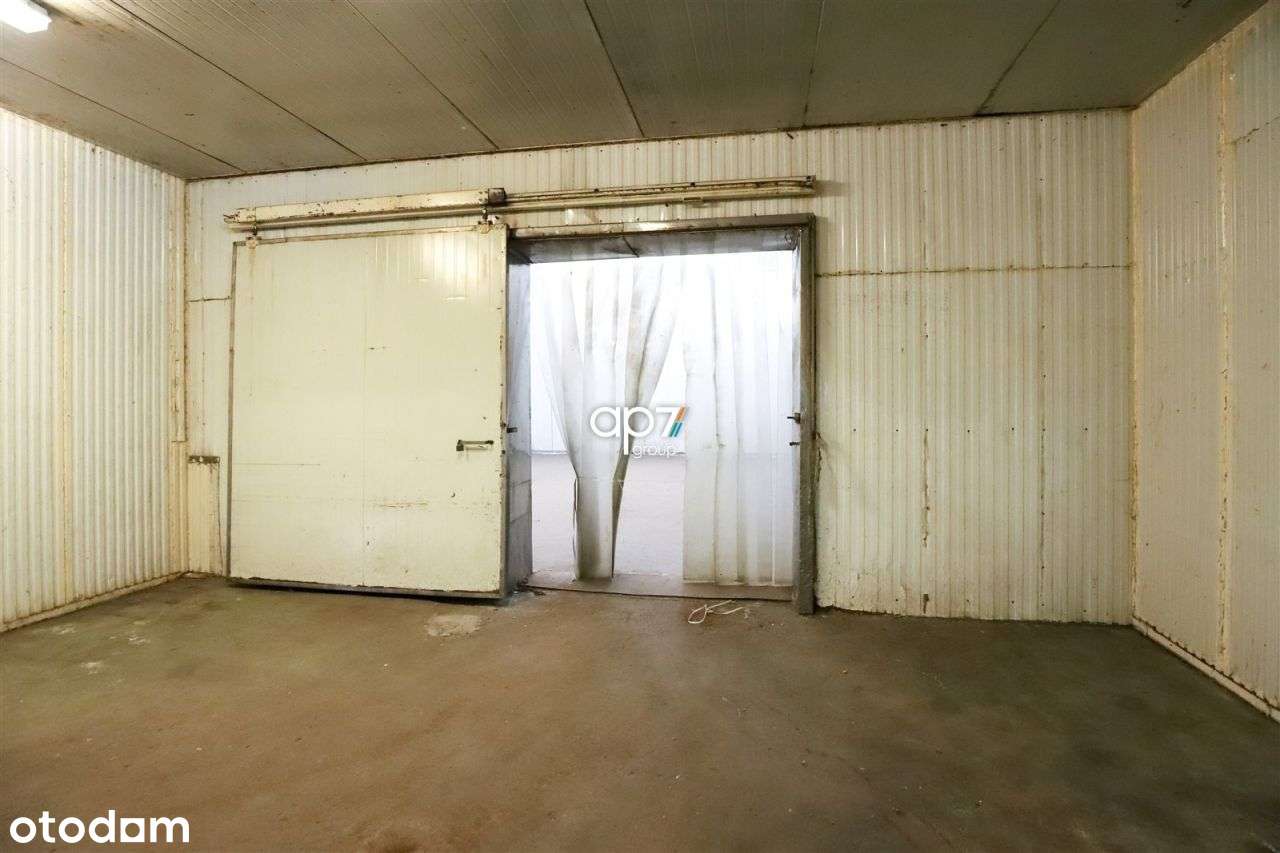 Hala/Magazyn, 300 m², Kraków - Pełny obrazek: 5/7