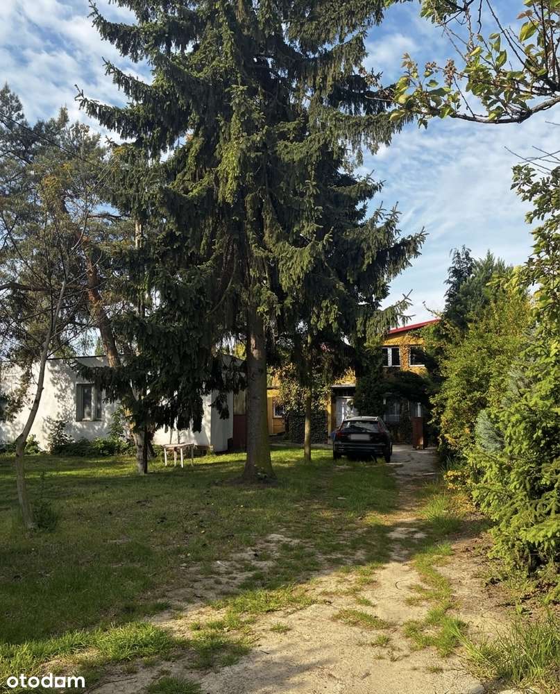 Zagorzynek 4,590m2, Dom + budynki pod firmę, Warunki zab. na 2 domy