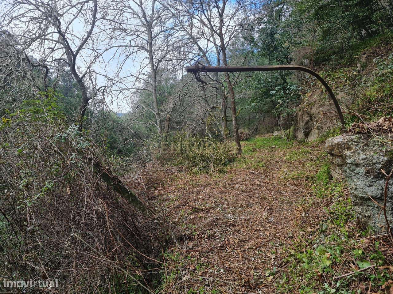 Quinta das Fontainhas, Rio de Moinhos, Penafiel-6