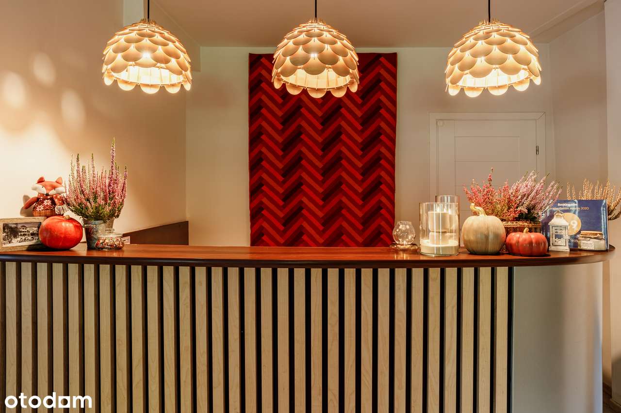 Rudy Lis - Inwestycja w sercu Szczyrku z pewnym potencjałem-3