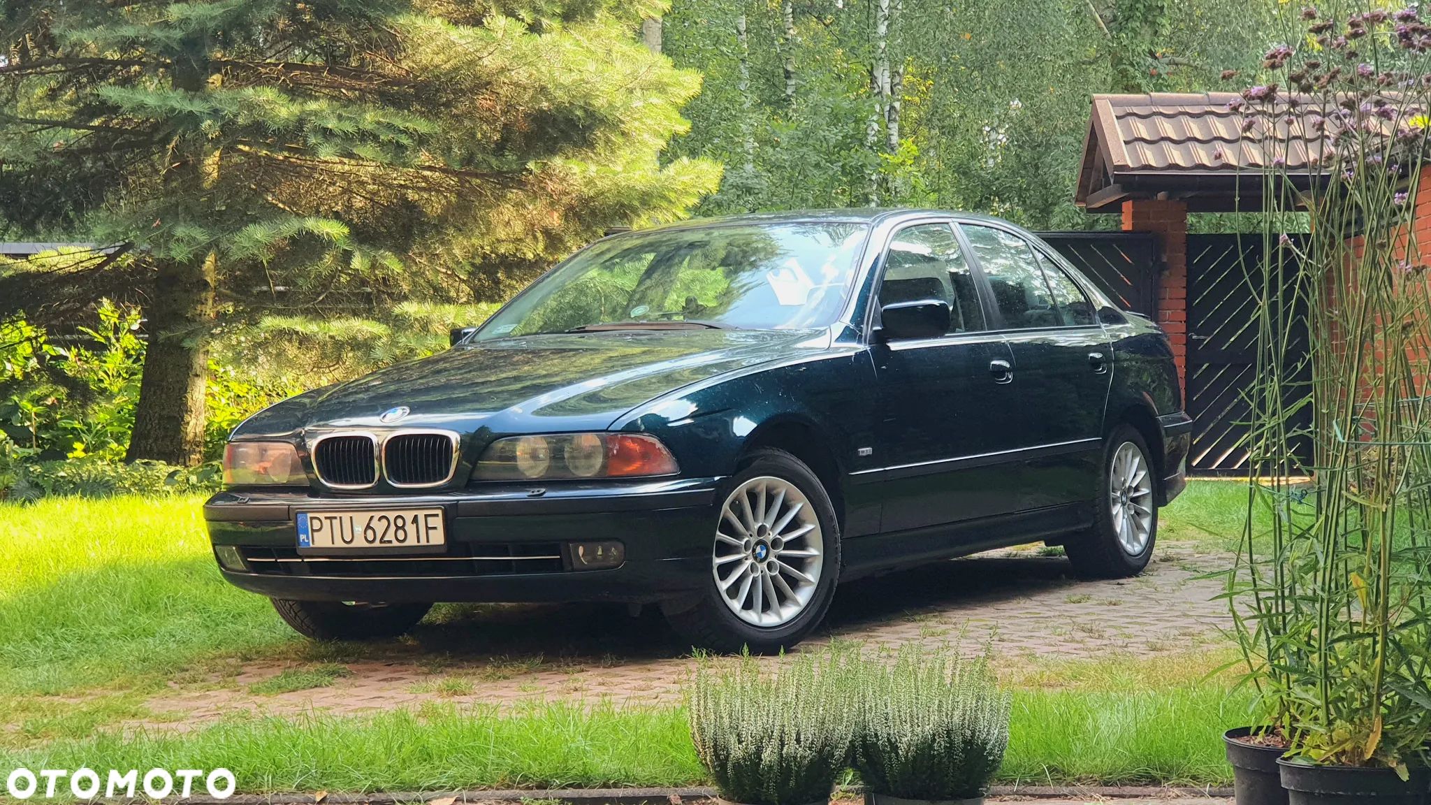 BMW Seria 5 523i - 1