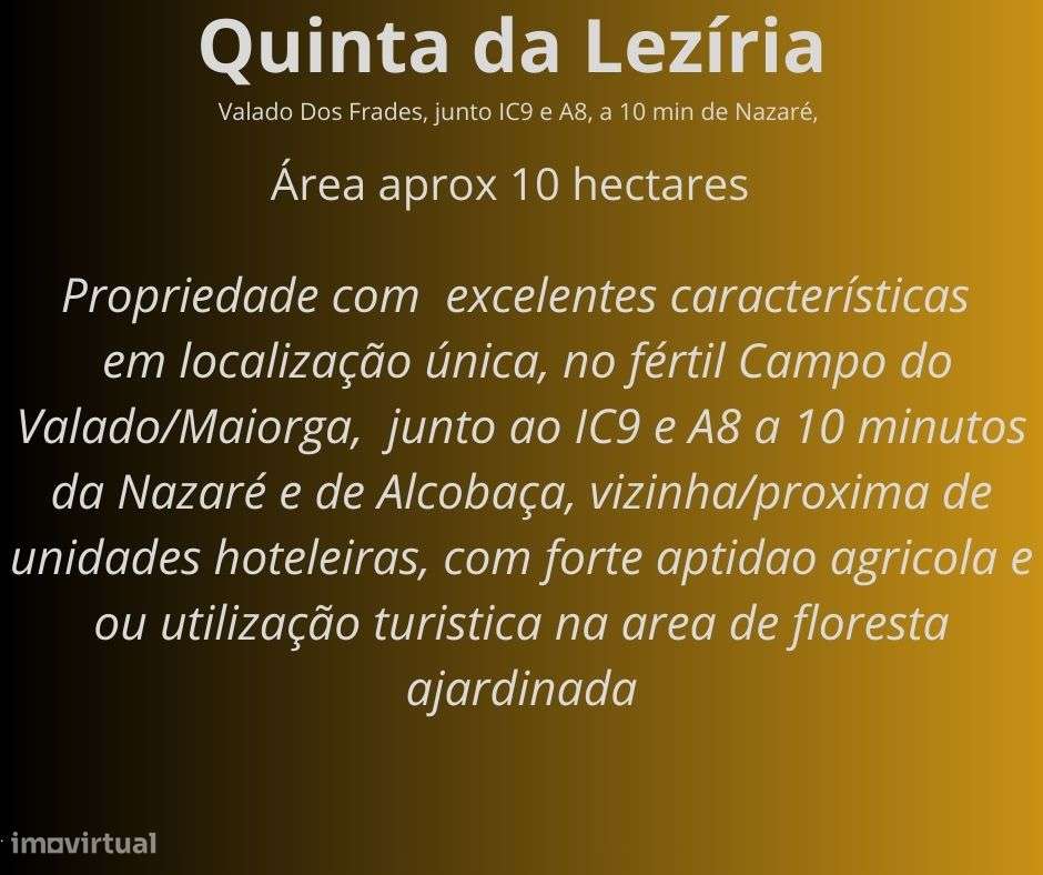 Quinta da Leziria /Quinta do Pinheiro - Grande imagem: 3/6
