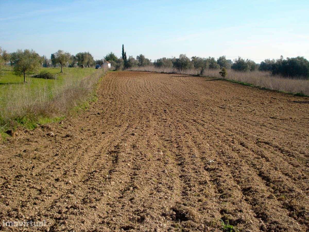 Terreno com 11920 m2 - Grande imagem: 5/18