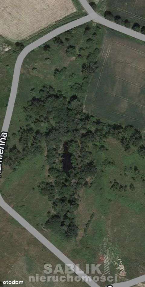 działka budowlana, 12 600 m2,Kuropatnik, Gmina Str-8
