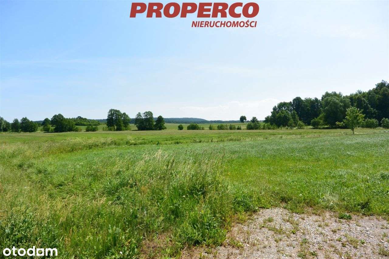 Działka 3225 m2, Sarbice Pierwsze, Łopuszno - Pełny obrazek: 5/6