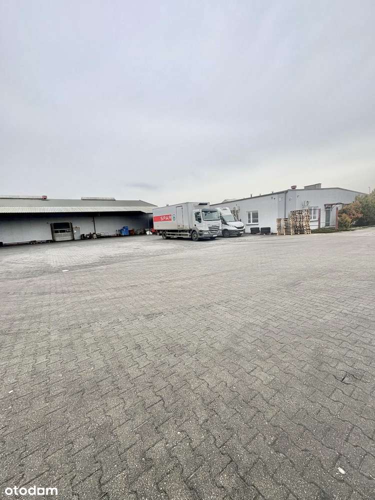 Wynajmę lub sprzedam Hala magazynowa Wągrowiec 3282 m2 - Pełny obrazek: 5/20