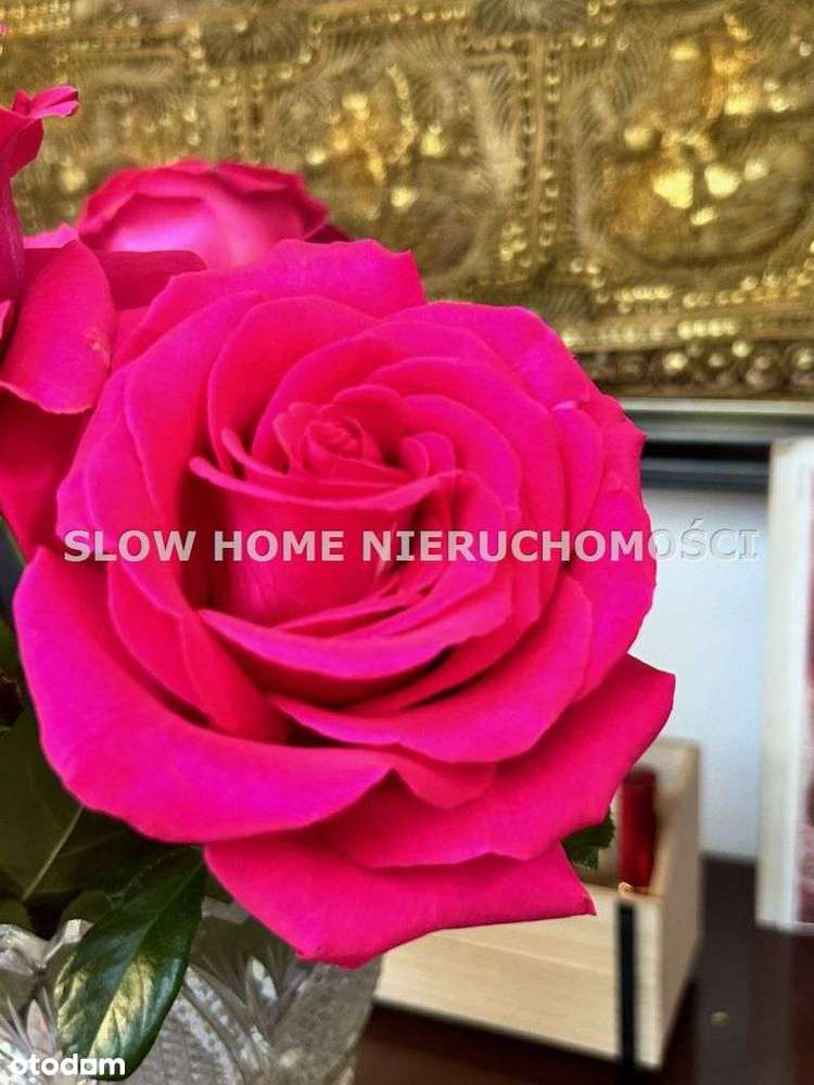 Artystyczna miejscówka do sprzedaży-5