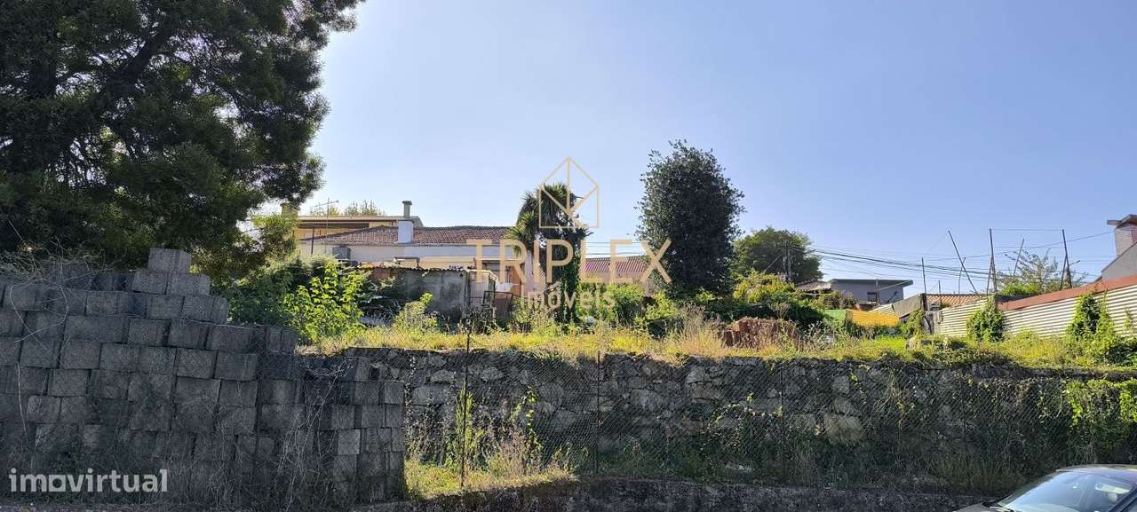 Casa com 3 inquilinos e Terreno -  Monte Sta Cruz-9