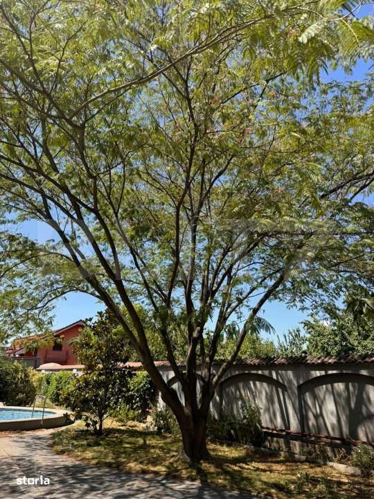 Vila de vanzare, cu 11 camere, 550 mp, zona Bariera Valcii - Imagine principală: 5/13