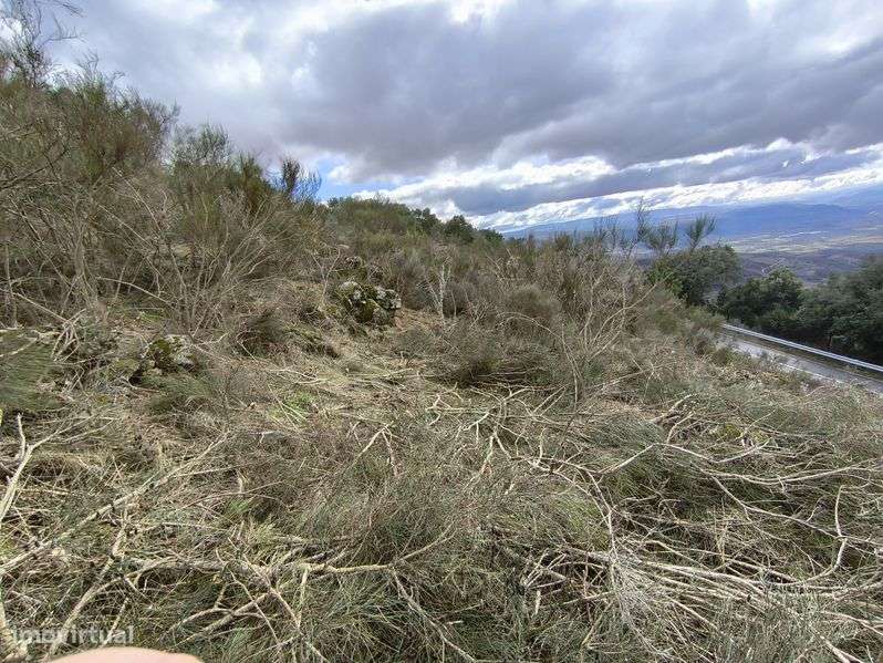 Terreno rustico SAMBADE - Grande imagem: 4/7