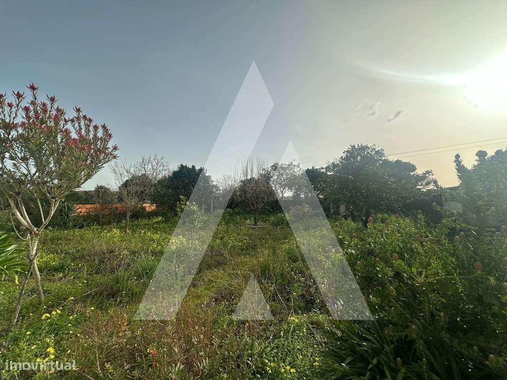 Moradia T3 em Pedreira de Vilarinho-26