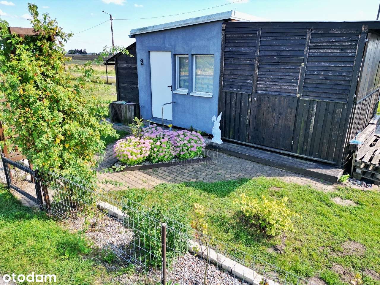 Zagospodarowana działka ROD w Sikorowie - Pełny obrazek: 5/19