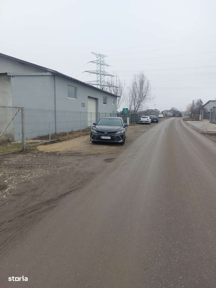 Clinceni - Olteni, Strada Fortului, Stradal-2