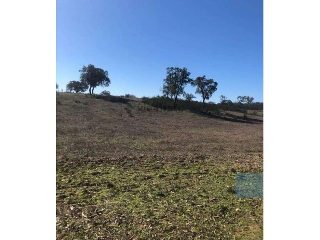 Terreno Rustico no Cercal - Grande imagem: 3/16